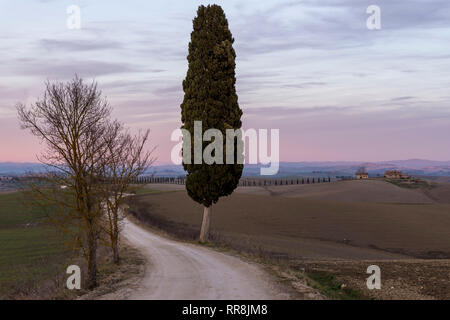 Schönen Sonnenuntergang über die toskanische Landschaft in der Ville di Corsano, Siena, Italien Stockfoto