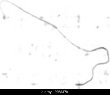 . Outlook Illinois Landwirte Brief [microform]. Landwirtschaft - - Illinois; Landwirtschaft - - Wirtschaftliche Aspekte von Illinois. ; R^:^:: Ich* Ich..,.:' x. ; V -'?^T V r.". * • '??';. Bitte beachten Sie, dass diese Bilder sind von der gescannten Seite Bilder, die digital für die Lesbarkeit verbessert haben mögen - Färbung und Aussehen dieser Abbildungen können nicht perfekt dem Original ähneln. extrahiert. Universität von Illinois in Urbana-Champaign. Cooperative Extension Service in der Landwirtschaft und Hauswirtschaft; Universität von Illinois (Urbana-Champaign Campus). Abt. für Agrarökonomie, Universität von I Stockfoto