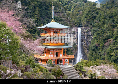 Nachisan, Japan die Pagode in Nachi fallen, einen der Markierungspunkte auf der Kumano Kodo Wallfahrt, während der Kirschblüte Saison gesehen Stockfoto