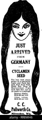 . Floristen Review [microform]. Blumenzucht. P*'", "w", "HF., n;"'"." ii # 'Ich.'" - "w' w&gt;". II.11.1 ifp) Ich, Ich. sj" p •"'^. f7' "mipBq | ^ pnq | (pipnpP! lipipp | | | ppF 144 Die Floristen^ Review August 17. 1922 rived in St. Louis in Ihrem grossen touring Ohr August 12, Samstag und Sonntag im tlie Stadt, verlassen 13. August für Kansas City die S. A. F. Convention zu besuchen. Prof. II. 0. Irische wird in Sedalia, Mo, die alle in der nächsten Woche, Teilnahme an der Missouri State Fair. Er wird wieder von den Waren des Blumenhandels Abteilung und ist auf der Suche nach viele Ausstellungsstücke aus unserer lokalen Schnittblume Winzer und Pflanzen - m Stockfoto