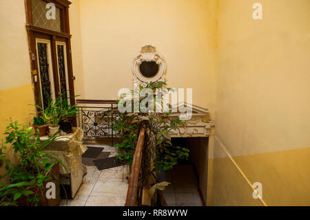 Retro Innenraum mit vielen grünen Pflanzen in Töpfen. Stockfoto