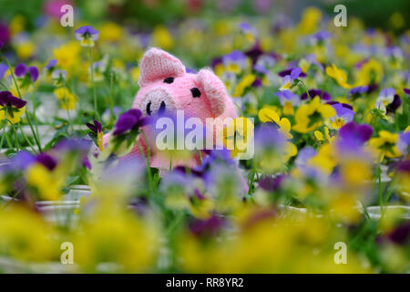 Unglaublich spannenden Szene mit handgefertigten rosa Schweinchen in Viola Blume Garten verstecken, aus nächster Nähe erschossen aus Gewirken Schwein Gesicht unter bunten Frühling Blumen mit blur Ba Stockfoto