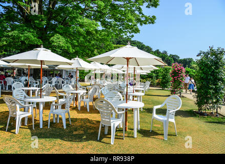 Ashikaga, Japan - 20. Mai 2017. Café am Ashikaga Flower Park. Ashikaga ist die größte Wisteria Garden in Japan mit über 350 wisteria Bäume. Stockfoto