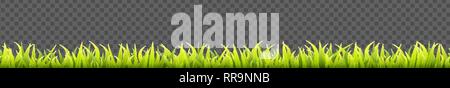 Nahtlose Sommer gras Panorama. Grün Frühling Kräuter rasen. Feld oder Wiese horizontale Dekoration Linien Stock Vektor
