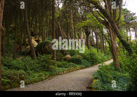 Pena Park, die Begründung, dass Pena Surround, Pedro de Penaferrim, Sintra, Portugal, ein UNESCO-Weltkulturerbe, Sintra, Portugal. Stockfoto