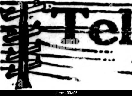 . Floristen Review [microform]. Blumenzucht. 27 JlLY, 1922 Die Floristen^ überprüfen. 75 e^ apti lJclivciy=gepgHp &Amp; fte ^ Flori 8 t8, deren Karten auf den Seiten dieser Kopf Durchführung erscheinen, sind bereit, Bestellungen"""" füllen?" von anderen Floristen für die lokale Zustellung auf der üblichen Basis. -"""". Bitte beachten Sie, dass diese Bilder sind von der gescannten Seite Bilder, die digital für die Lesbarkeit verbessert haben mögen - Färbung und Aussehen dieser Abbildungen können nicht perfekt dem Original ähneln. extrahiert. Chicago: Floristen Pub. Co Stockfoto