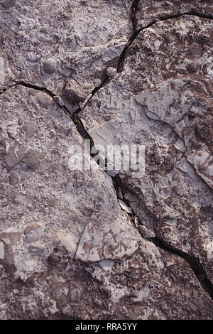 Grauen Kalkstein mit einer langen Riss. Es gibt Fossilien in der Stein. Weiches Licht Foto als Hintergrund. An der Küste von Saaremaa (Europa, Estland) Stockfoto