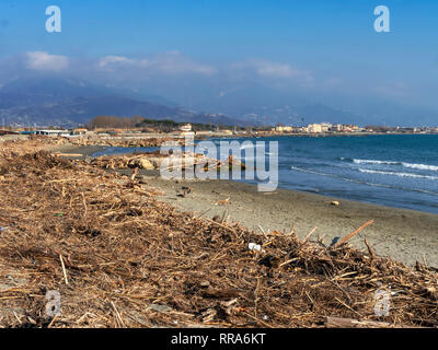 Bocca di Magra, Marinella, Massa Carrara Italien. Sonne und Strand entfernt Schmutz, Treibholz, etc. Nach dem Orkan. Stockfoto