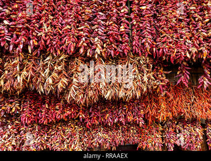 Getrocknete Chilischoten in Lavradores Markt hängen, Funchal, Madeira, Portugal. Stockfoto
