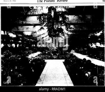 . Floristen Review [microform]. Blumenzucht. . Maki 11; 5 (",".fs^ der Floristen. Auf der Suche nach der Halle von den Stufen an der Vorderseite des abgesenkten Bereich, mit A. N. Pierson's Rose Garden vor. tciiis, Adi. 'int', iinis jiliu iiixcs, h - illis. liou Kitiiivilli 'iis, s] iirii'!, p; iii (l: iinis. etc., jiliout; i ("filter-Gruppe von Yi'iiisfas. Über dem Gang ist l'H. ICH''s iersoii spleiulid Nr" "l' sind von Siii passiiiy (| iiaiity und aie uiiceasiiiyly l&gt bewundert; y Handel und piihru - gleich. iiioiig Die varietic ^s von iiejilindeiiis sliowii Aurea sind, Verona, imiseosa, NeiiKertii, Stockfoto