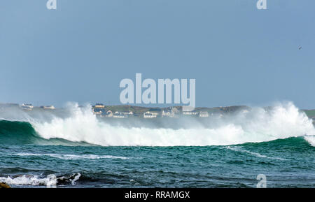 Rosbeg, County Donegal, Irland. 25. Februar 2019. Massive Wellen auf den Atlantischen Ozean in den Schatten Coastal Cottages im Dorf. Credit: Richard Wayman/Alamy leben Nachrichten Stockfoto