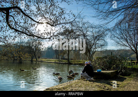 Bolton, Lancashire. 25. Feb 2019. UK Wetter: Sonne am Moses Gate Country Park, Bolton, Lancashire, das schöne Wetter geht weiter in den Nordwesten von England. Teilen des Vereinigten Königreichs konnten Ihre wärmsten Februar Tag auf Aufzeichnung erreichen wie hohem Druck über dem Land sitzt. Vater und Sohn füttern die Enten und Gänse. Bild von der Credit: Paul Heyes/Alamy leben Nachrichten Stockfoto