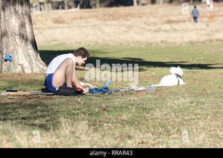 London, Großbritannien. 25 Feb, 2019. Menschen und Tiere machen die meisten der heißesten je Tag im Februar am Bushy Park, in der Nähe von Hampton Court Palace. Credit: James Hancock/Alamy leben Nachrichten Stockfoto