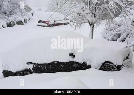 Eugene, Oregon, USA. 25 Feb, 2019. Autos begraben im Schnee nach einem Schneesturm in Eugene, Oregon. Credit: Gina Kelly/Alamy leben Nachrichten Stockfoto