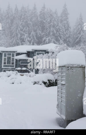 Eugene, Oregon, USA. 25 Feb, 2019. Tiefer Schnee in einer Wohngegend nach einem Schneesturm in Eugene, Oregon. Credit: Gina Kelly/Alamy leben Nachrichten Stockfoto