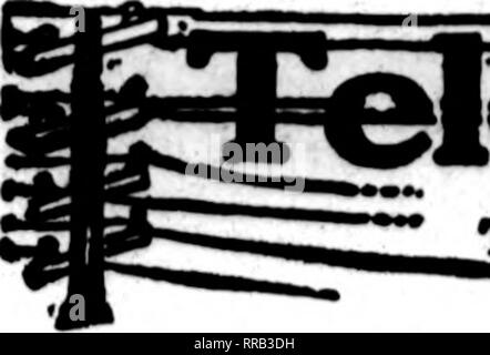 . Floristen Review [microform]. Blumenzucht. ^^o. "Ich •?*:?..'?'?. •"•..'^??; "Tf* • Die Floristen^ Review SUbch 9. 1922. Die flwirt * deren canU auf der patfes canrylng dieser Kopf erscheint, sind bereit, Bestellungen,,**"" Aus anderen llorUts für die lokale Zustellung auf der üblichen Basis. ". Bitte beachten Sie, dass diese Bilder sind von der gescannten Seite Bilder, die digital für die Lesbarkeit verbessert haben mögen - Färbung und Aussehen dieser Abbildungen können nicht perfekt dem Original ähneln. extrahiert. Chicago: Floristen Pub. Co