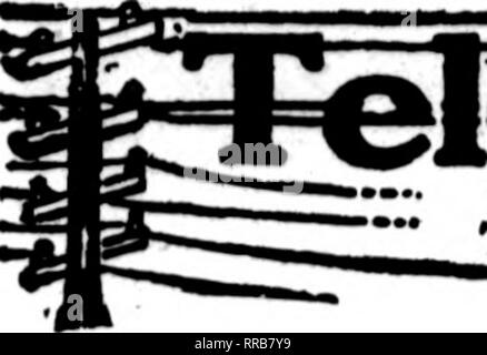 . Floristen Review [microform]. Blumenzucht. Dbcbmbbb 29, 1921 Dem Floristen^ Review 83. Die florigf deren Karten auf den Seiten dieser Kopf Durchführung erscheinen, sind bereit, Bestellungen '"' - aus anderen - Floristen für die lokale Zustellung auf der üblichen Basis füllen.. Bitte beachten Sie, dass diese Bilder sind von der gescannten Seite Bilder, die digital für die Lesbarkeit verbessert haben mögen - Färbung und Aussehen dieser Abbildungen können nicht perfekt dem Original ähneln. extrahiert. Chicago: Floristen Pub. Co Stockfoto