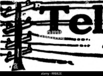 . Floristen Review [microform]. Blumenzucht. JANOABT 6, 1922 Die Rorists 'Review 93. Ei3fe^ frttHLiclivciy=geparfaaae dem Floristen, deren Karten auf den Seiten dieser Kopf Durchführung erscheinen, sind bereit, Bestellungen*** von anderen Floristen für die lokale Zustellung auf der üblichen Basis zu füllen. ". Bitte beachten Sie, dass diese Bilder sind von der gescannten Seite Bilder, die digital für die Lesbarkeit verbessert haben mögen - Färbung und Aussehen dieser Abbildungen können nicht perfekt dem Original ähneln. extrahiert. Chicago: Floristen Pub. Co Stockfoto