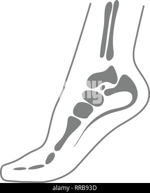 Menschlichen Fuß mit Knochen, Bein Symbol isoliert auf einem weißen Hintergrund. Stock Vektor