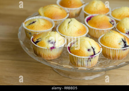 Blueberry Muffin, köstlich und lecker Muffins mit Heidelbeeren Stockfoto