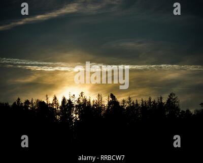 Sonnenuntergang hinter dem Wald Ridge. Orange Leuchten bleibt der Wolken. Weiß Kondensation Spuren von Flugzeugen auf einem dunkelblauen Himmel. Silhouetten der Baum cro Stockfoto