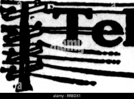 . Floristen Review [microform]. Blumenzucht. . V'. V74 dem Floristen^ Review Mabch le. 1923. Bitte beachten Sie, dass diese Bilder sind von der gescannten Seite Bilder, die digital für die Lesbarkeit verbessert haben mögen - Färbung und Aussehen dieser Abbildungen können nicht perfekt dem Original ähneln. extrahiert. Chicago: Floristen Pub. Co Stockfoto