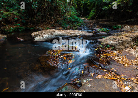 Kleiner Wasserfall auf Morans Creek im Lamington National Park, Queensland, Australien Stockfoto