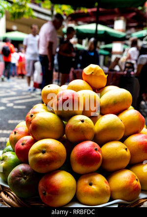 Mangos für den Verkauf in den Lavradores Markt, Funchal, Madeira, Portugal. Stockfoto