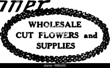 . Floristen Review [microform]. Blumenzucht. Januar 26, 1922 Die Floristen^ Review 55 Senden Sie uns Ihre Sammlungen und die Ergebnisse, die Sie direkte Vertretung wollen in jeder Stadt in den US und Kanada erhalten. Lassen Sie uns Ihre Aufladung Konten übernehmen. Nahezu 29.000 Credit Datensätze. Besser kommen zu einem reali- rung des Sachverhalts für Kredit Informationen. Im Jahre 1912 Gegründet im Jahr 1921 von der S.A.F. BILLIGTE 1918 Finanzielle Referenzen: Chicago Titel &Amp; Trust Company Home Bank &Amp; Trust Company National Garantiegeber Co. von New York Cash Capital gegründet. . $ 40.000 Überschuss 9,371.18 neuen Ausfälle BUSINESS DI Stockfoto