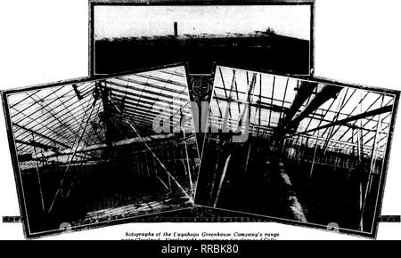 . Floristen Review [microform]. Blumenzucht. Febbuabv 9, 1922 Die Floristen^ Review 143. Hologramme des Cuyahoga Gewächshaus Comi&gt; jede Reihe in der Nähe von Cleveland. Fast acht Hektar sind unter Glas und Calla-han Lüftung api&gt; aratus (Wolf Patente) wird ausschließlich verwendet. Zufriedene Kunden N Alles für das Gewächshaus Komplette CALLA //t!Ein 0 £ slll^^^ iait&gt; IPif ^i^a^ dX o Man benötigt, um Ihnen zu sagen, dass ein zufriedener Kunde ist die beste Werbung. Ebenso ist es unsere. Zurück 1919 Cuyahoga Gewächshaus Unternehmen, von Cleveland, gebaut 11 Gewächshäuser und ausgerüstet, um sie alle mit Callahan Vent Stockfoto