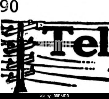 . Floristen Review [microform]. Blumenzucht. Die Floristen^ Review Sbptembbr 22, 1921 Die flortof deren Karten auf den Seiten dieser Kopf Durchführung erscheinen, sind bereit, Aufträge" von anderen Floristen für die lokale Zustellung auf der üblichen Basis zu füllen. - "^^. Bitte beachten Sie, dass diese Bilder sind von der gescannten Seite Bilder, die digital für die Lesbarkeit verbessert haben mögen - Färbung und Aussehen dieser Abbildungen können nicht perfekt dem Original ähneln. extrahiert. Chicago: Floristen Pub. Co Stockfoto