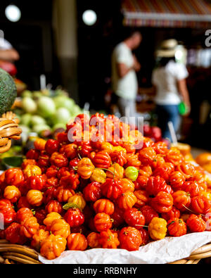 Bunte Scotch Bonnet chili peppers für den Verkauf in den Lavradores Markt, Funchal, Madeira, Portugal. Stockfoto