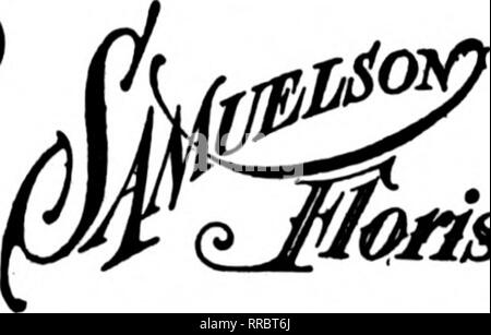 . Floristen Review [microform]. Blumenzucht. 1924 E.71st Si. Chicago Ddnrerio iM&lt; le • ny von Ibe dt; • ad sdImiiIii. - CHICAGO, Ill. Kongress FLOWER SHOP T.C. NEBEL ARTY. Mgr. 520 S. Michigan Ave. Congress Hotel Flowera für alle Anlässe Tel. Seeblick 1121 3912 North Clark St.. CHICAGO Chicago AvondaleHowerShop^ liZtSu John J. Walsh, Prop, Ave Kairo, krank. Das Blumengeschäft UND UMGEBUNG Mitglied F. T. D, Ci Cade. K. Kranke THORNTONS otreator, in. Flower Shop Qualität ist unser Hobby s. T. D. FLOaiST 232-234 Michigan Avenue Chicago Mitglied F. T. D.. Bestellungen^. y Sorgfältig txecuted EVANSTON, 1614 Sh Stockfoto