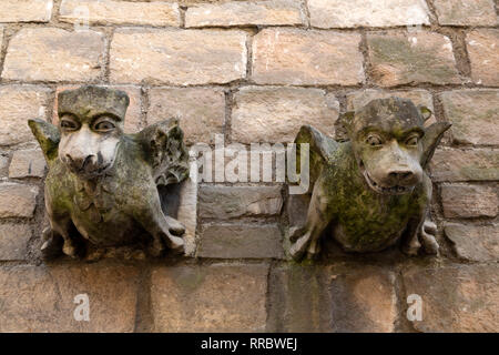 Wasserspeier aus Stein in York, England. Sie sind auf eine Mauer, die an der St Martin le Grand Kirche. Stockfoto
