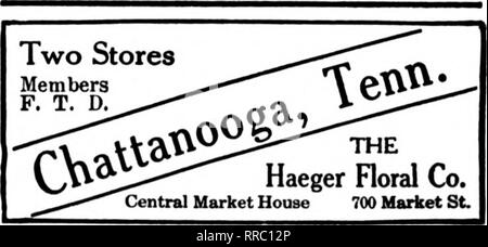. Floristen Review [microform]. Blumenzucht. Führende Floristen Geny Bros Mitglieder Floristen "Telegraph Lieferung 212 Fifth Avenue in Richtung Norden. NASHVILLE, Tenn. "Wir niemals schlafen 'Idlewild TV wenn L*T Gewächshäuser iviempnis, lenii. 89 Süden Maia Straße "Up-to-the-minute "Service und Ausführung die Floristen "Telegraph Lieferung alle MEMPHIS Bestellungen an die Flower Shop 81 Union Avenue, Memphis, Tennessee Memphis, Tenn. JOHNSON GEWÄCHSHÄUSER 161 Madison Ave. 1888 Mitglied Floristen "Telegraph Lieferung Ass'n Knoxville, Tenn CROUCH etabliert. Florist Floristen "Telegraph Lieferung größte Stockfoto