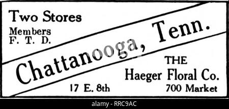 . Floristen Review [microform]. Blumenzucht. Führende Floristen Geny Bros Mitglieder Floristen "Telegraph Lieferung 212 Fifth Avenue in Richtung Norden. NASHVILLE, Tenn. Memphis, Tenn. MEMPHIS FLORAL CO Kabel uns. Wir liefern Alabama, Arkansas, Tennessee "wir niemals schlafen" GrSouses Memphis, Tenn 89 South Main Street "Up-to-the-niinutR "Service und Ausführung die Floristen "Telegraph Lieferung alle MEMPHIS Bestellungen an die Flower Shop 81 Union Avenue MEMPHIS senden. TENNESSEE Memphis, Tenn. JOHNSON GEWÄCHSHÄUSER 161 Madison Ave. 1888 Mitglied Floristen "Telegraph Lieferung Ass'n BALTIMORE gegründet Stockfoto