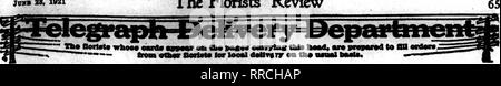 . Floristen Review [microform]. Blumenzucht. rv. joiia 28. 1921 der Floristen. ''??'?'??? • Floristen "Telegraph, Telefon oder e-mail Aufträge gegeben, persönliche Betreuung und Aufmerksamkeit. r keine Bestellung zu groß. Kein Auftrag zu klein. -. •&Lt;&lt;S^ Wenn p D. M, ($ ussn OIii. 1006 Euclid Avenue der größte Erzeuger von Schnittblumen in Ohio eine I3-J eine Nachricht an Memphis; cin F. T. D. Um für West Tennessee, Arkansas, Mississippi und Alabama - Kabel IDLEWILD GEWÄCHSHÄUSER ZWEI STORES Maun Store 89 S. Main St. Filiale 234 East St. Dann Idlewild Blumen - Erste QucJity-plus alle die Kunstfertigkeit des Stockfoto