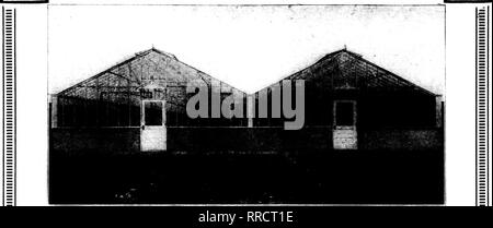 . Floristen Review [microform]. Blumenzucht. IV Die Floristen^ Review August 25, 1921 llllllllllllllllllllllllllllllllllllllllllilllllllilllllilllllllllllllllllllllllllllllllllllllllllllllllllllllllllllllllllllllll. Bilder nicht immer gerecht, das Aussehen eines Gewächshauses. Nehmen Sie zum Beispiel die oben genannten Häuser, die wir vor Kurzem für die Stadt Chicago, Tuberkulose Sanitarium gebaut. Sie sah nie besser konkrete Arbeit in den Wänden, die alle gerade wie ein Würfel und warf glatt und von gleichmäßiger Konsistenz. Dachrinnen und pfetten sind gerade und wahr. Alle Gelenke im Holzarbeiten werden ordentlich ma Stockfoto