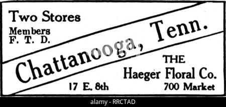. Floristen Review [microform]. Blumenzucht. Geny Bros", "^^xs Mitglieder Floristen "Telegraph Lieferung 212 Fifth Avenue in Richtung Norden. NASHVILLE, Tenn. Memphis, Tenn. MEMPHIS FLORAL CO Kabel uns. Wir liefern Alabama, Arkansas, Tennessee "wir niemals schlafen" SSIhJuses Memphis, Tenn 89 South Main Street "Up-to-the-minute" Service und Ausführung die Floristen "Telegraph Lieferung aU MEMPHIS Bestellungen an die Flower Shop 81 Union Avenue MEMPHIS senden. TENNESSEE Memphis, Tenn. JOHNSON GEWÄCHSHÄUSER 161 Madison Ave. 1888 Mitglied Floristen "Telegraph Lieferung Ass'n BALTIMORE Samuel Stockfoto