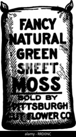 . Floristen Review [microform]. Blumenzucht. SPHAGNUM MOOS sauber, trocken, gute Textur, Ballen 14 xl 6 x 45 Zoll, burlapped, Gewicht ca. 25 kg pro Ballen. 10 bis 25 Ballen, 75 c Jeder, F. O. B. hier. Abzug von 3 Prozent, wenn sie Bargeld mit Erder senden. Wenn Sie kaufen Auto viele Mengen unsere Groß-Preis erhalten. Wir produzieren und unser Produkt garantieren. A.J.AMUNDSON CO., CITY POINT, WIS. Grünes Blatt Moos Jeder es kaufen und freuen, weil es feinste Qualität und SO VIEL NIEDRIGER IM PREIS; wir haben facil ist für die Betreuung der noch mehr Aufträge. Zufriedenheit in jeder Instanz garantiert; Bestellungen umgehend aufgefüllt. Se Stockfoto