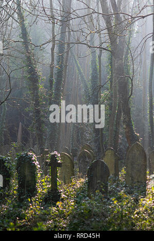 Grabsteine in Schönes Licht im Arnos Vale Friedhof in Bristol. Stockfoto