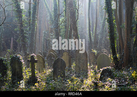 Grabsteine in Schönes Licht im Arnos Vale Friedhof in Bristol. Stockfoto