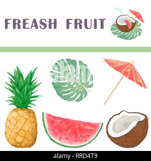 Wassermelonen, Ananas, Kokos, frische Früchte tropische Set für Bar. Aquarell Bild auf weißem Hintergrund. Stockfoto