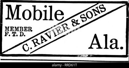 . Floristen Review [microform]. Blumenzucht. FLORIST. MOBILE, Alabama GOODBRAD FLORAL CO MONTGOMERY. ALA. Alabama führenden Floristen Rosemont Gärten Mitglied F. T. D. Korrespondenz erbat, Mobile, Alabama "T."^! Die Mmge Floral Co.BIRMINGHAM, Ala PARKER FLOWER'S STORi. Bitte beachten Sie, dass diese Bilder sind von der gescannten Seite Bilder, die digital für die Lesbarkeit verbessert haben mögen - Färbung und Aussehen dieser Abbildungen können nicht perfekt dem Original ähneln. extrahiert. Chicago: Floristen Pub. Co Stockfoto