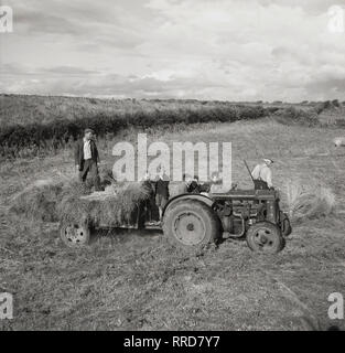 1950er Jahre, historische, das Sammeln von Heu... Familienbetriebe... ein Bauer mit seinen Kindern auf einem Traktor mit Anhänger auf einem abgeernteten Feld, England, UK. Stockfoto