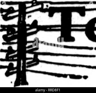 . Floristen Review [microform]. Blumenzucht. Dbcbmbbb 16, 1921 Die Rorists' überprüfen. Jele^e^fa UelivciyH^ epeas 'faflae dem Floristen, deren Karten auf den Seiten dieser Kopf Durchführung erscheinen, sind bereit, Bestellungen "*"*"" ausfüllen? Von anderen Floristen für die lokale Zustellung auf der üblichen Basis. CHICAGO 10]. Bitte beachten Sie, dass diese Bilder sind von der gescannten Seite Bilder, die digital für die Lesbarkeit verbessert haben mögen - Färbung und Aussehen dieser Abbildungen können nicht perfekt dem Original ähneln. extrahiert. Chicago: Floristen Pub. Co Stockfoto