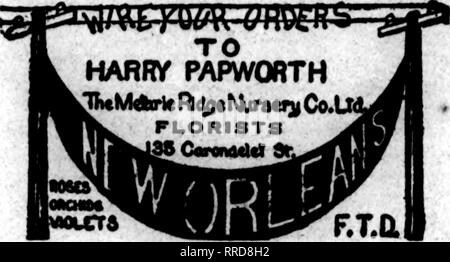 . Floristen Review [microform]. Blumenzucht. NEW ORLEANS, LA. CHAS. EBtE ÄLTESTE FLORIST SÜDEN 121 Baronne Street Mitglied Telecraph Florista" Lieferung. Bitte beachten Sie, dass diese Bilder sind von der gescannten Seite Bilder, die digital für die Lesbarkeit verbessert haben mögen - Färbung und Aussehen dieser Abbildungen können nicht perfekt dem Original ähneln. extrahiert. Chicago: Floristen Pub. Co Stockfoto