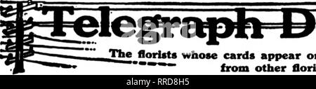 . Floristen Review [microform]. Blumenzucht. OCTOBBR 27, 1921 Der Floristen Review 95. Die florUt * deren Karten auf den Seiten dieser Kopf Durchführung erscheinen, sind bereit, Bestellungen"""?"^ aus anderen Floristen für die lokale Zustellung auf die üblichen Bif^ füllen.. Bitte beachten Sie, dass diese Bilder sind von der gescannten Seite Bilder, die digital für die Lesbarkeit verbessert haben mögen - Färbung und Aussehen dieser Abbildungen können nicht perfekt dem Original ähneln. extrahiert. Chicago: Floristen Pub. Co Stockfoto