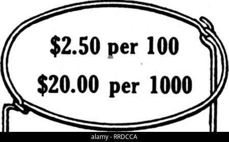 . Floristen Review [microform]. Blumenzucht. 142 Die Floristen Review August 18, 1921 CLEVELAND, O. Die Maxket. Geschäft hat langsam die letzte Woche, aber immer noch im Vergleich mit dem normalen Geschäft erfolgt vor dem Krieg. Das Wetter etwas kühler, aber nicht genug, um sich auf den Markt auswirken. Der Markt ist noch mit gladiolen überflutet, aber nicht annähernd so schlecht wie in früheren Jahren. Astern sind besser, aber es ist nicht annähernd die Menge es letztes Jahr war. Sie haben langsam bewegen, aber haben bis ziemlich gut reinigen. Rosen sind get-ting besser täglich, obwohl Stockfoto
