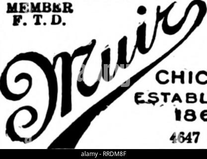 . Floristen Review [microform]. Blumenzucht. 1924 E.7151 Si Chicago Ddmriet zu jeder Tat von Llie dtj Aad. nbgibt. Sa-vice u oar iMlto. CHICAGO, Ill. Kongress FLOWER SHOP T.C. FOGARTY. Mgr. 520 S. Michigan Ave. Congress Hotel Chicago Poood Pinto 3530 Michigan Avenue F. T. D. GEORGE FISHER & Amp; BR. 183 N. WABASH AVE. CHICAGO MEHBliB K. T. D.. W* bieten für diejenigen, die reouiro CHICAGO die Besten. e^ TABLISMgtt Preis. 1865 reaaonabia 4647 GRAND BL VD. PONTIAC, Illinois" "r^l". W. J. MILLER &Amp; Sohn Blumen aller Art in ihre Saison. PRINCETON, krank. W.E. TRIMBLE Treibhausgas CO. Stockfoto